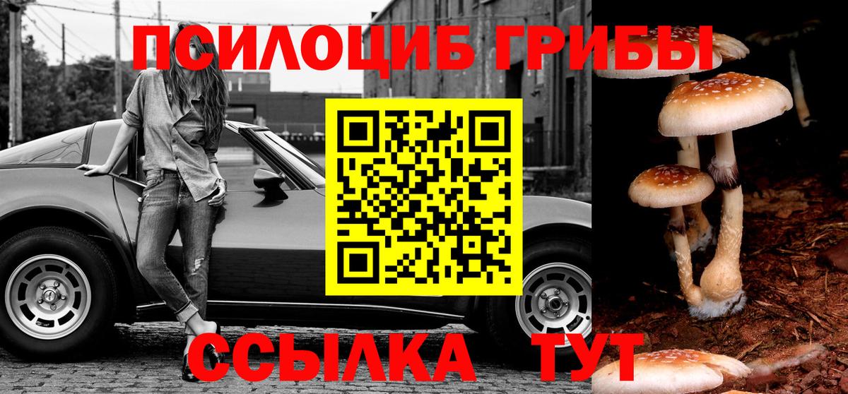 Псилоцибиновые грибы ЛСД Чебоксары