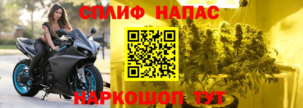 Каннабис индика Чебоксары
